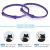 Pet Supply Pacify Adjustable Anxiety Relief Stress Reduction Dog Cat Necklace Pet Calming Collar