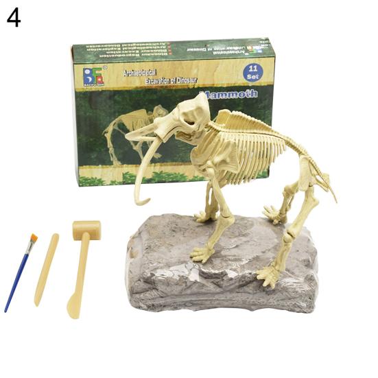 Dinosaur Fossil Skeleton Excavation Dig Up Kit DIY Assembly Educational Kids Toy