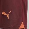 Puma Футбольные брюки мужские 23/24 сезона Manchester City Player Edition с однотонным логотипом, эластичные, темно-красные 770478-05