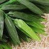 20pcs/lot Artificial Simulation Home Decorations Plant Leaves Bamboo Leaf Silk Cloth Branches