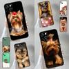 Yorkie Yorkshire Terrier For Honor Magic 8 7 6 5 Pro Case For Honor Win RT X9d X9b X9c X9a X8c X8b 200 400 70 90 Lite