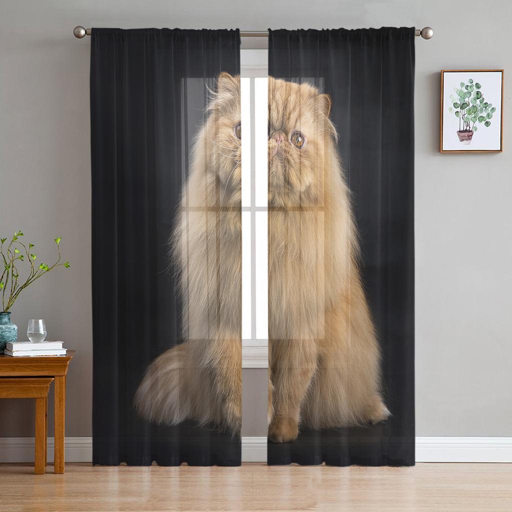 Тюлевые шторы для гостиной, черные милые простые шторы для спальни, кабинета, окна, кухни, балкона, вуали, интерьерные шторы