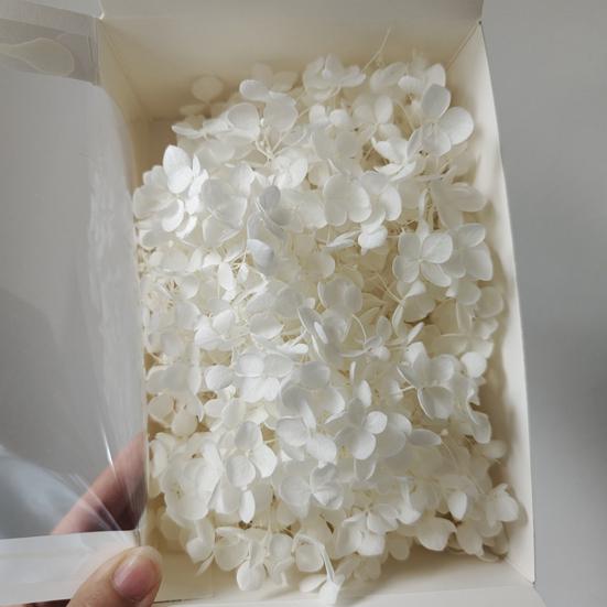 Модные сухие цветы гортензии без полива, легкие, добавляют атмосферы