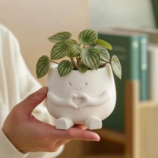 Украшения для цветочных горшков 3D-печать Милый настольный держатель для растений Прочный PLA Домашний декор для суккулентов