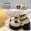 Wear-resistant Heightening Fashionable Foreign Style Versatile Mary Jane Shoes Women's Spring 2025 New Non-slip Niche Platform Single Shoes