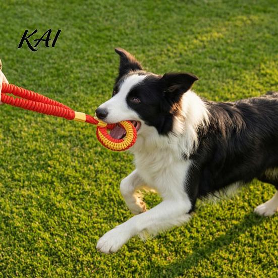 Soft Polyester Tug Rope Bungee Dog Toy, Woven Ring with Long Handle, Interactive Chew Teeth Dental Health Toys Cleaning Toy for Medium Large