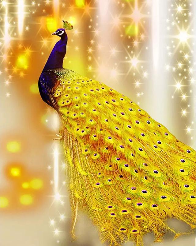 5D алмазная живопись Павлин Новое поступление Алмазная вышивка крестиком животное полная квадратная круглая дрель мозаика подарок ручной работы