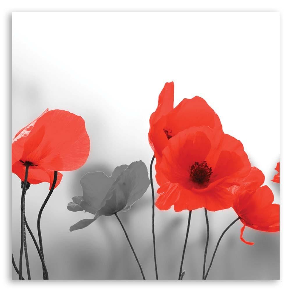 Canvas print, Red poppies flowers plants