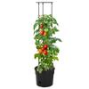 Jardinière à tomate - Maison Exclusive - Anthracite - Ø29,5x115 cm - Polypropylène anti-UV