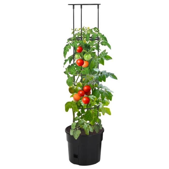 Jardinière à tomate - Maison Exclusive - Anthracite - Ø29,5x115 cm - Polypropylène anti-UV