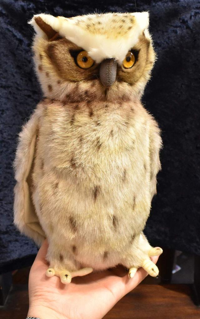 BH6767 HANSA Fish Owl 26 Blakiston's