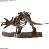 BANDAI SPIRITS (Bandai Spirits) Воображаемый скелет (Воображаемый скелет) Трицератопс масштаб 1/32 п...