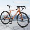 Feige RS200 Adult Commuter Leisure Bicycle