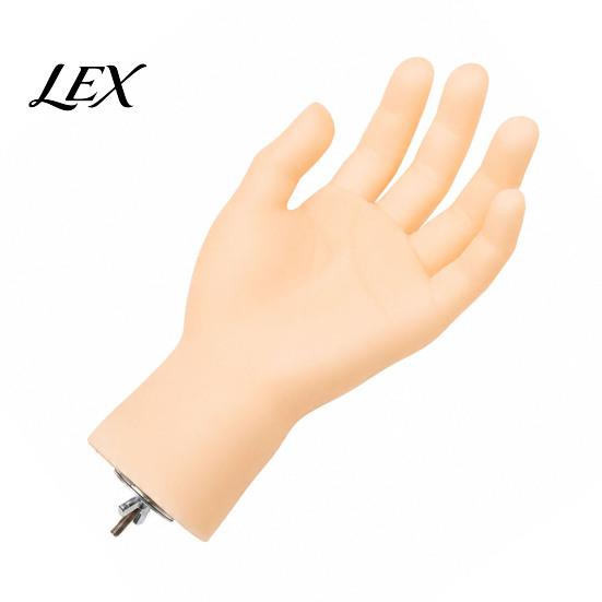 Hand Taming Bird Accessory Hand-Shaped Parrot Perch, Realistic Stand with Screw Fastener, Safe Training Tool Cage Perch for Budgie Cockatiels,