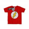Boys Flash Distressed Logo T-Shirt