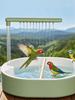 Parrot Bathtub Bird Automatic Bath Shower with Circulating Faucet Pond Fountain Water for Lovebird Cockatiel Finches Cockatoo