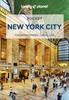 Книга Lonely Planet Pocket New York City