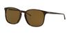 Солнцезащитные очки 0RB4387F HAVANA Япония 55 0RB4387F Азиатская посадка Ray-Ban 902/73 (БЕСПЛАТНЫЙ размер)