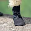 4pcs/set Breathabl Non-Slip Dog Socks Boots Waterproof Dog Paw Protector  Rainy Day