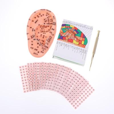 Модель уха для массажа из ПВХ, рефлекторные зоны, акупунктурные точки, инструмент для обучения терапии ушной раковины, модель для акупунктуры уха, медицинские принадлежности, здоровье