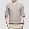 Hodo Men's 100% Pure Wool V-Neck Pullover Sweater