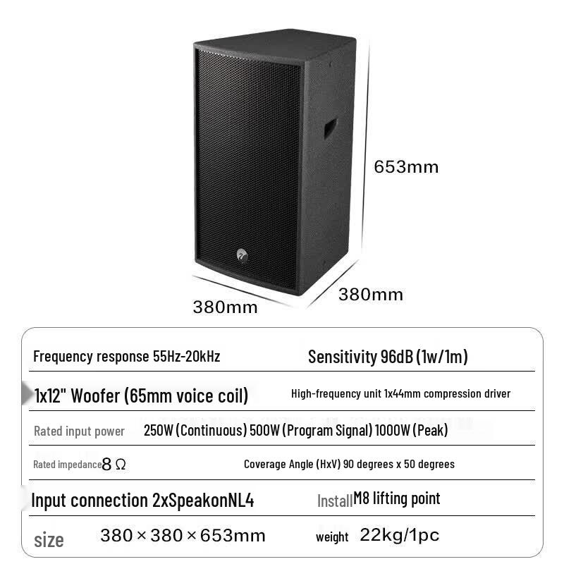 HiVi DS12 12-inch 2.1 Channel Home KTV Audio System (CN version)