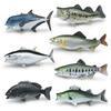 Simulation Of Marine Animals, Snapper, Cattle Port, Sea Bass, Tuna, Salmon, Salmon Ornaments, Model Toys
