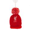 Bobble Hat Car Mirror Decoration