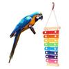 Hanging Chicken Sound Toy Parrot Rooster Pecking Xylophone Toy Decor with Different Sounds