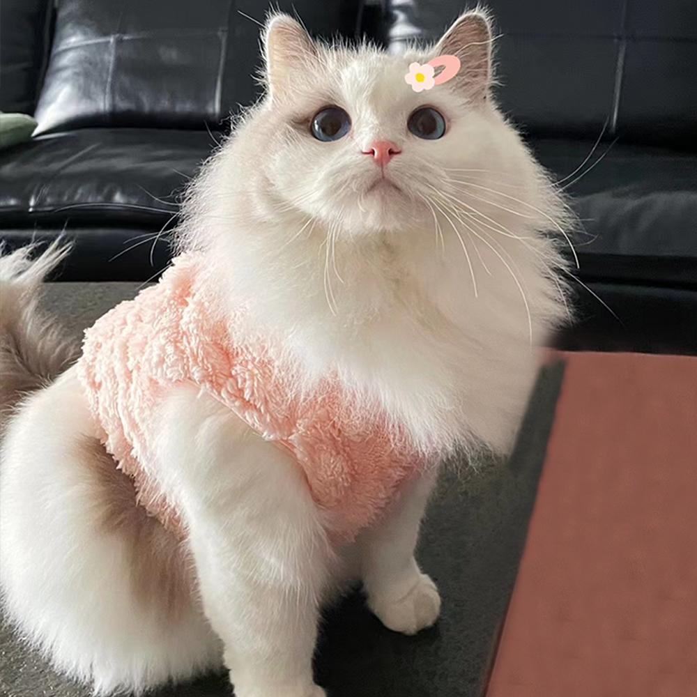 Winter Dog Clothes Pet Cat Autumn Twisted Double-faced Fleece Vest Clothing