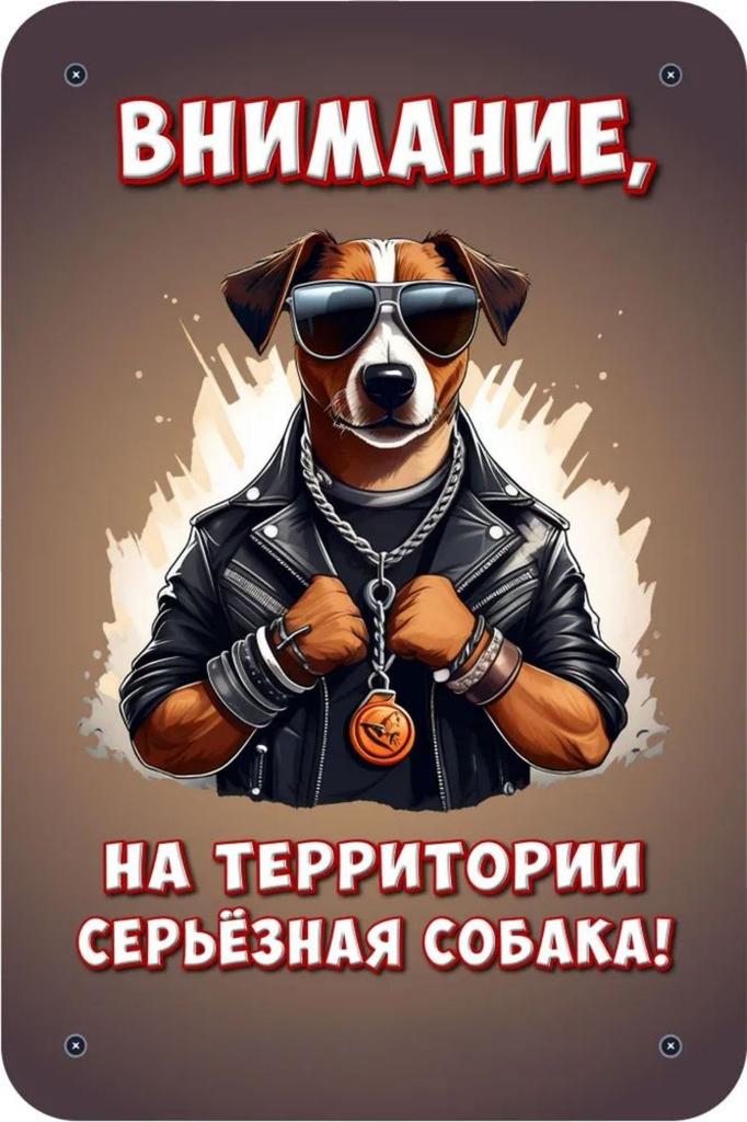 Металлическая табличка Осторожно Злая собака 30x20см Шпиц
