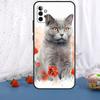 Кошка Британская короткошерстная Для Samsung Galaxy A36 A26 A16 A05 A06 A54 A34 A14 A22 A32 A52 A55 A35 A15 A53 A13 A56 Чехол
