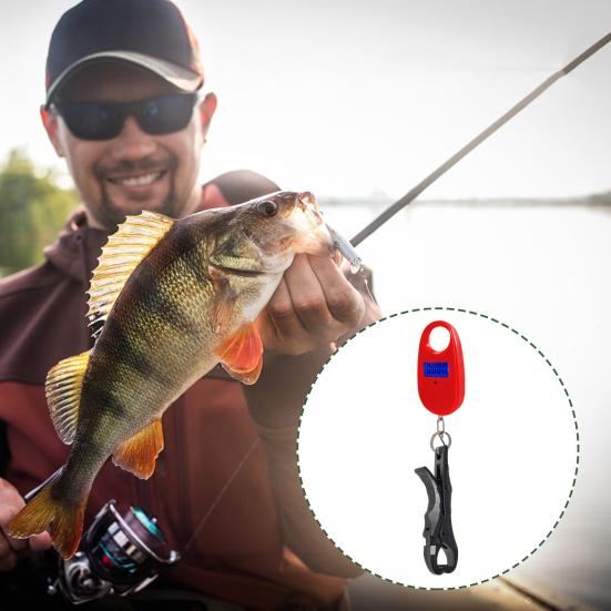Мини-захват для рыбы с электрическими весами 25 кг, захват для рта и губ с цифровыми весами, зажим для контроля рыбы, щипцы для ловли рыбы, рыболовные принадлежности