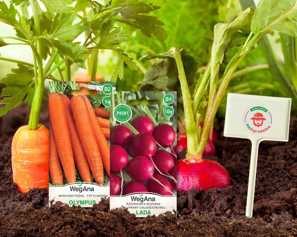 Набор семян садовых морковь петрушка свекла 21 шт.. + БЕСПЛАТНЫЕ этикетки