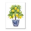 Bonsai Canvas Painting Art Blue White Willow Style Lemon Poster Kitchen Decor Lemon Print  Planter  office decoration