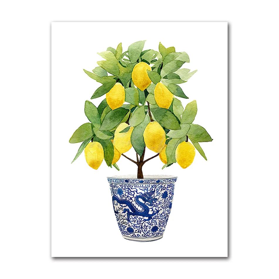 Bonsai Canvas Painting Art Blue White Willow Style Lemon Poster Kitchen Decor Lemon Print Planter office decoration