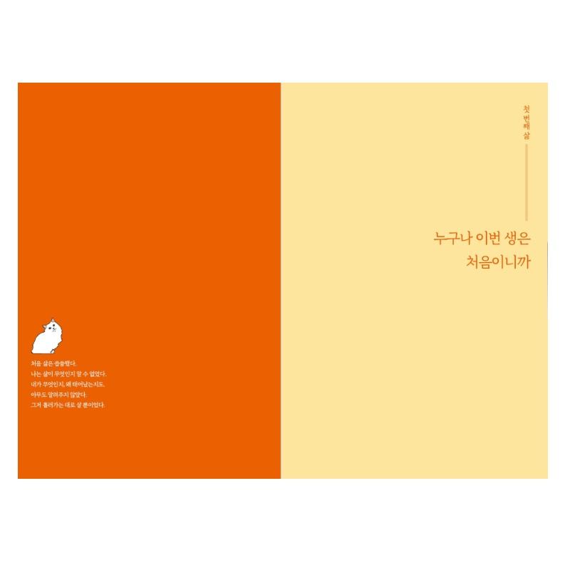 Since There Are Many Reasons, I Only Say Just Koera Essays