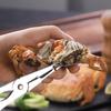Picking Crab Meat Is Easy Seafood Tool Set Crab Crackers Picks Spoons Set Stainless Steel Pliers Lobster Clamp Pliers Clip