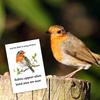 100 Pcs Funeral Seed Packets Lilly Robin Gifts Seeds Packets Memorial Funerals Favours For Guests Feed The Bird Envelopes Celebr