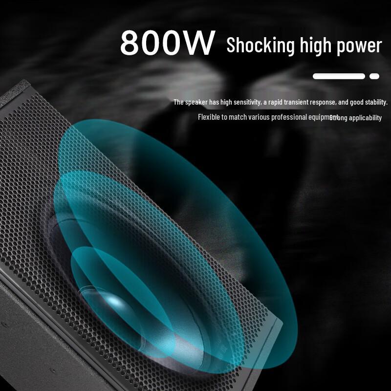 HuiDu M10 Professional Stage Monitor Speaker