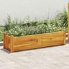 Garden Raised Bed Acacia Wood 100 x 30 x 25 cm