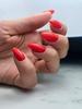 Lakier Hybrydowy Led/Uv Gel Polish Ntn Premium After Midnight Collection Nr 66 5 G