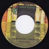 7-дюймовая пластинка MAVADO - Changing Times НЕТ Трек House Rec 2007 Ямайка Регги, Ска и Даб Б/У