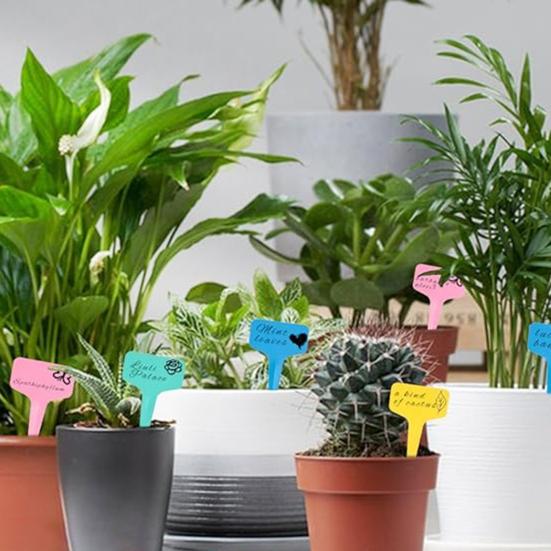 100 шт. Т-образные бирки для растений, садовые этикетки, пластиковые маркеры для растений, водонепроницаемые многоразовые этикетки для растений с маркером для наружного сада, рассады