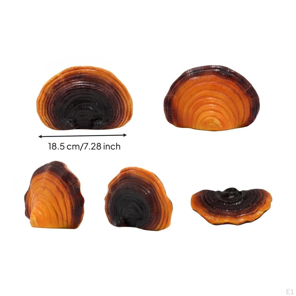 Ganoderma Ornament Layered Resin Mushrooms Ringed Hanging Decor for Planted