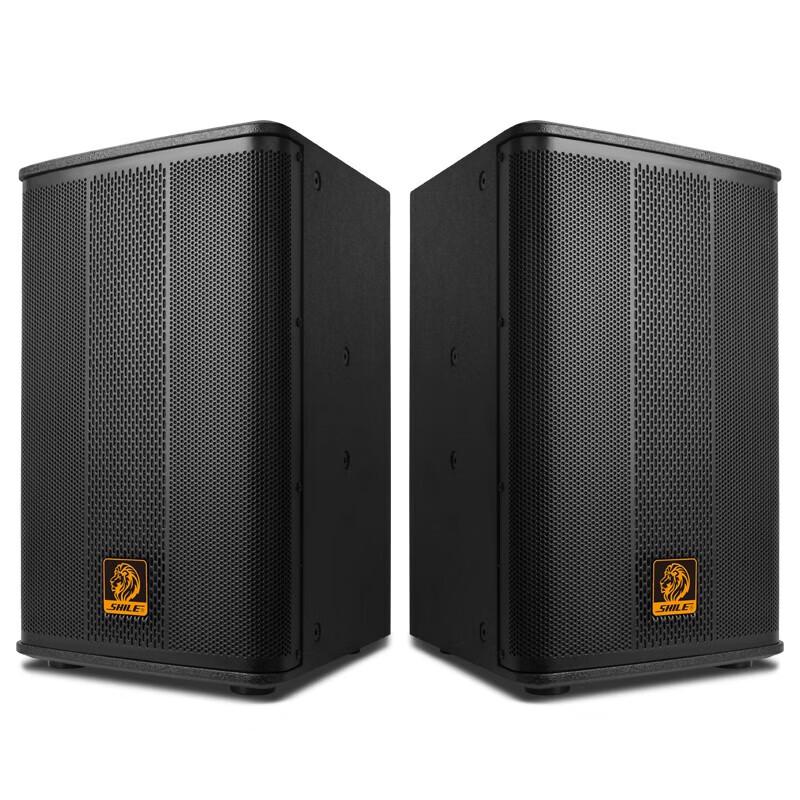 SHILE BX-110 10-inch Professional Conference Speaker