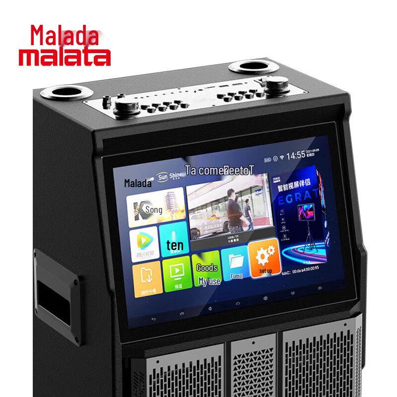 Wanlida M+9524 Portable Karaoke Speaker System