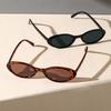 Women Vintage Oval Sunglasses Fashion Leopard Brown Print Stylish Sun Glasses Female Colorful Shades Eyewear