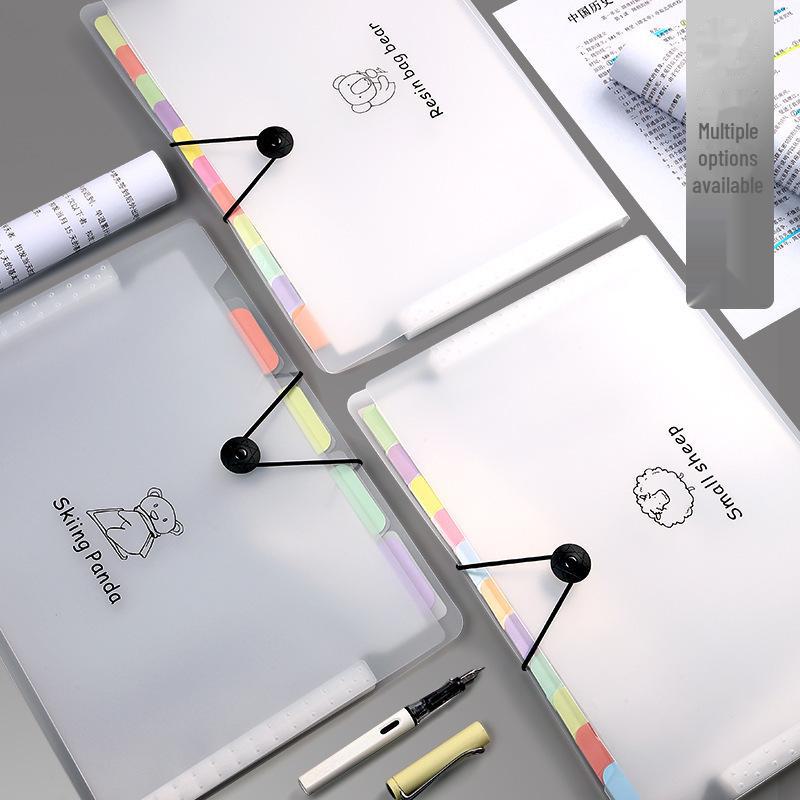 Папка-гармошка большого размера формата А4 для студентов с 5–12 отделениями для документов и файлов.