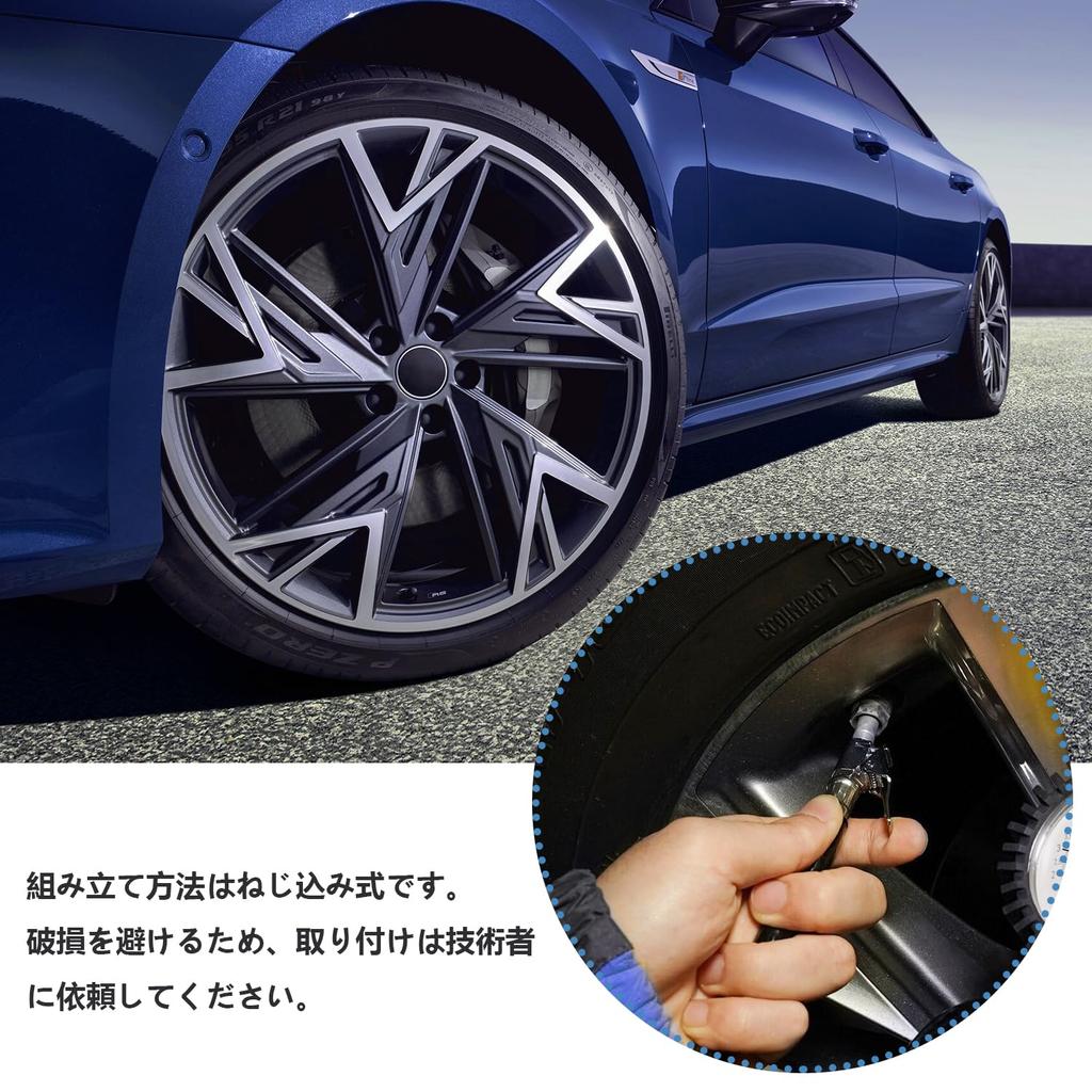 TR48E Short Stem with Dust Cap Clamp-in Valve, Metal Tire Valve, General Purpose, Tubeless